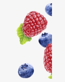 Fynbo Hindbaer Blaabaer Raspberry Blueberry Højre - Frutti Di Bosco, HD Png Download, Free Download