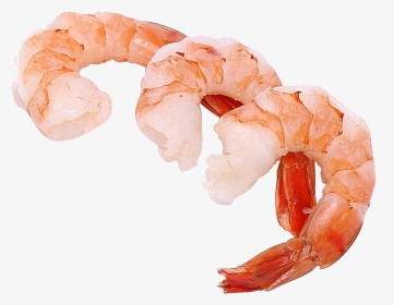 Shrimps Png - Cooked Shrimp Clipart, Transparent Png, Free Download