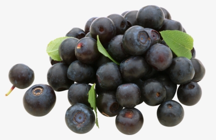 Blueberry, HD Png Download, Free Download