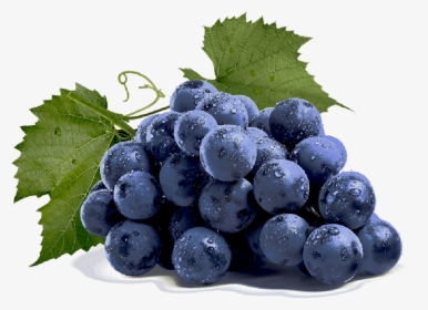 Blueberry - Tugboat Grape, HD Png Download, Free Download