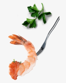 Shrimps Png , Png Download - Caridean Shrimp, Transparent Png, Free Download