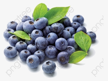 Blueberry Clipart Transparent Background - Blueberries Grown In India, HD Png Download, Free Download