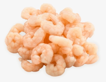 Scampi, HD Png Download, Free Download