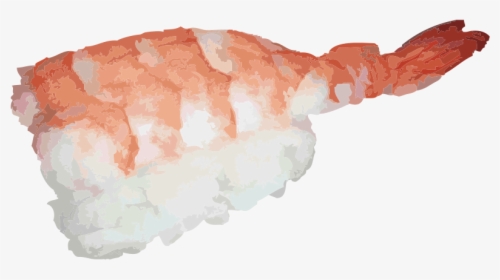 Transparent Shrimp Clipart - Nigiri Sushi Png, Png Download, Free Download