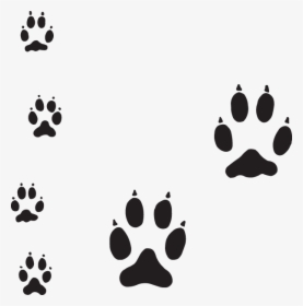 Dog Paw Tracks , Png Download - Dog Paw Tracks, Transparent Png, Free Download