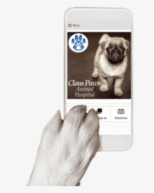Dog Paw Holding Mobile App - Dog Paw Holding Phone, HD Png Download, Free Download