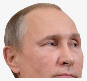 Putin Png Images Free Transparent Putin Download Kindpng