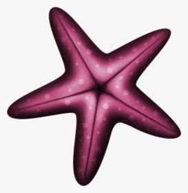 Transparent Starfish Clipart Transparent - Estrela Do Mar Png, Png Download, Free Download