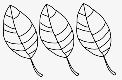 Leaves To Colour, HD Png Download, Free Download