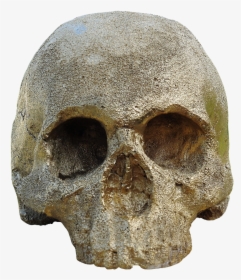 Skull And Crossbones Golden Skull Skull Free Picture - Skull, HD Png Download, Free Download