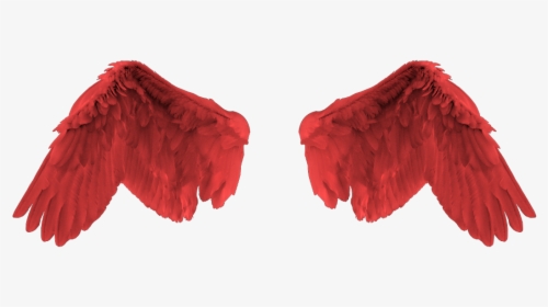 Red Angel Wing , Png Download - Red Angel Wings Png, Transparent Png, Free Download