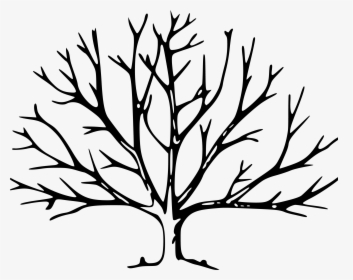 Tree With Branches Drawing, HD Png Download, Free Download