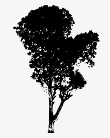 Tree Silhouette - Tree Silhouette Png Transparent Background, Png Download, Free Download