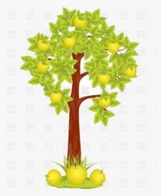 Apple Tree Vector Image Illustration Of Plants And - Yellow Apple Tree Clipart, HD Png Download, Free Download