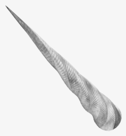 Unicorn Horn Gypsy Horse Winged Unicorn Wikipedia Realistic Unicorn Png Transparent Png Kindpng - big narwahl horn roblox
