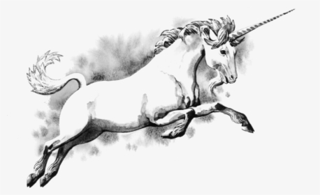 The Horn Of A Unicorn, HD Png Download, Free Download