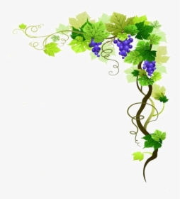 Grape Vine Png - Grape Vine Border Png, Transparent Png, Free Download