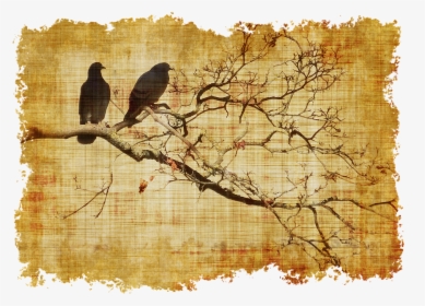 Parchment, Birds, Branch, Branches, Old, Stationery - Pergaminos Para Escribir Png, Transparent Png, Free Download