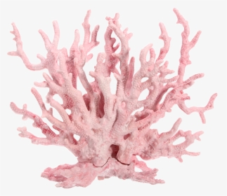 Dont Claim As Yours - Pink Coral Reef Png, Transparent Png, Free Download