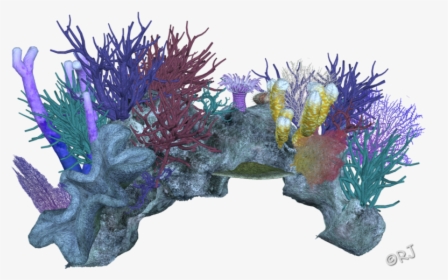 Decor Coral Invertebrate Aquarium Reef Invertebrates - Coral Reef Transparent Background, HD Png Download, Free Download