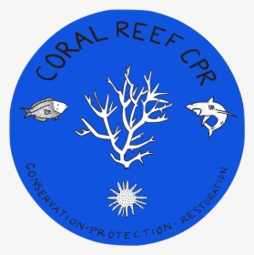 Coral Reef Cpr, HD Png Download, Free Download
