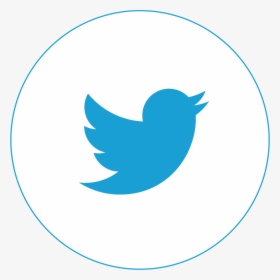 Twitter Icon Size 2017, HD Png Download, Free Download