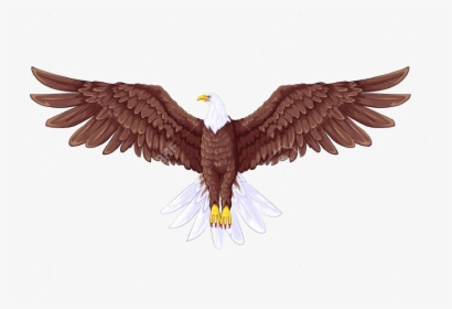 Eagle Royalty Free Rf Clipart Illustration By Chromaco - Full Body Eagle Drawing, HD Png Download, Free Download