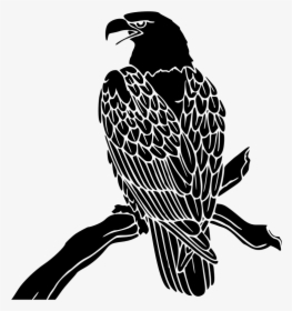 Bald Eagle Inverse - Hawk, HD Png Download, Free Download
