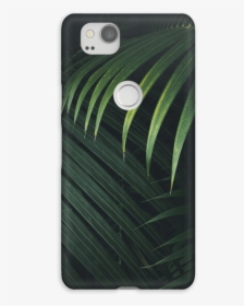 Palm Leaf Design - Iphone, HD Png Download, Free Download