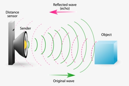 Diagram Of An Echo, HD Png Download, Free Download