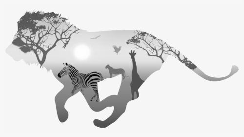Animals - Black And White Lion Paintings, HD Png Download, Free Download
