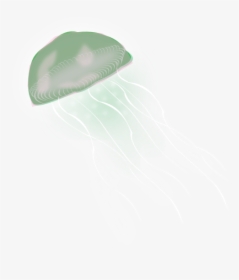 Jellyfish Png - Jellyfish, Transparent Png, Free Download