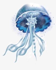Jellyfish Png Picture - Jellyfish Png, Transparent Png, Free Download