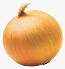 Onion Png Free Download - Shrek And Onions, Transparent Png, Free Download