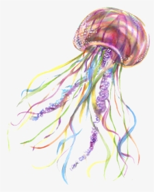 #jellyfish #fish #png #freetoedit - Transparent Background Jelly Fish Png, Png Download, Free Download