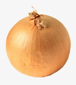 Onion Png Free Download - White Onion, Transparent Png, Free Download