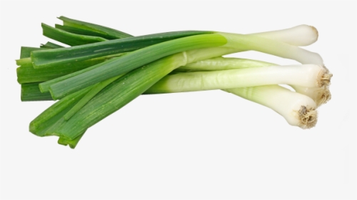 Green Onions Png - Png Of Spring Onions, Transparent Png, Free Download