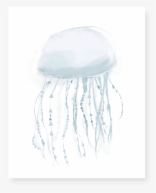 Jellyfish - Cephalopod, HD Png Download, Free Download