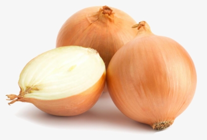 Onion Png High-quality Image - Onion Png, Transparent Png, Free Download