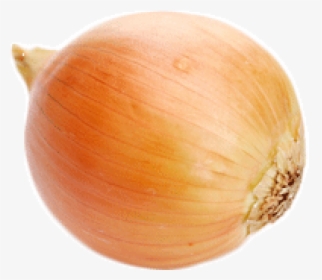 Onion Png Free Download - Transparent Onions, Png Download, Free Download