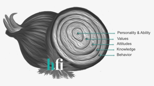 Work Behavior Explained By The Onion - Onion Model Behaviour, HD Png Download, Free Download