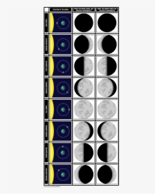 Phases Of Moon Storyboard, HD Png Download, Free Download