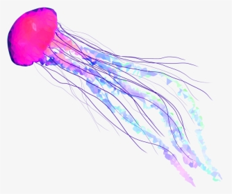 #jellyfish #fish #seas #underwater #freetoedit - Transparent Background Jellyfish Transparent, HD Png Download, Free Download