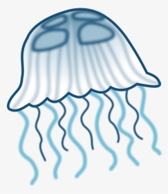 Transparent Jellyfish Png - Jelly Fish Clip Art, Png Download, Free Download