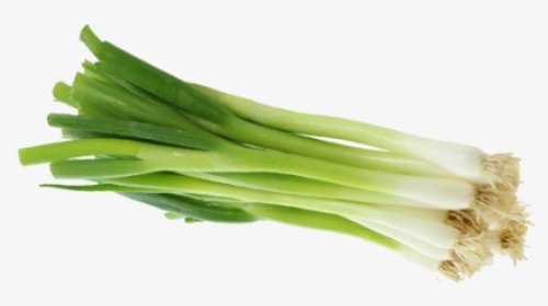 Green Onion Png, Transparent Png, Free Download