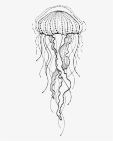 Download Jellyfish Mandala Svg Hd Png Download Kindpng