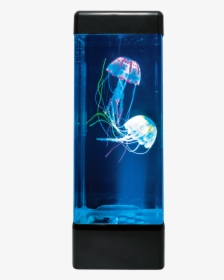 Jellyfish Tank Png, Transparent Png, Free Download