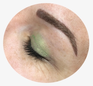 1 Eyebrows, HD Png Download, Free Download