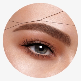 Beauty Eyebrow, HD Png Download, Free Download