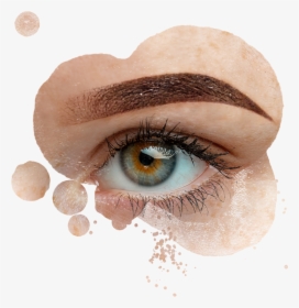 Eyebrow Png, Transparent Png, Free Download